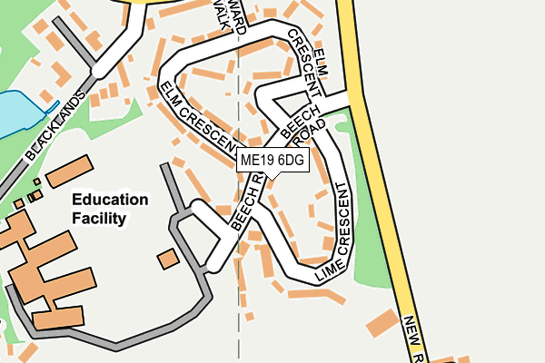 ME19 6DG map - OS OpenMap – Local (Ordnance Survey)