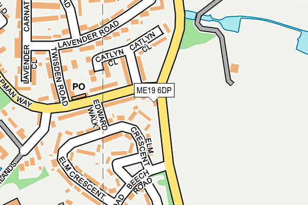 ME19 6DP map - OS OpenMap – Local (Ordnance Survey)