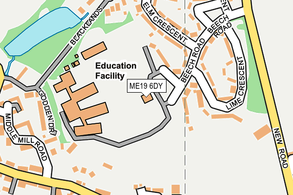 ME19 6DY map - OS OpenMap – Local (Ordnance Survey)