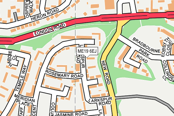 ME19 6EJ map - OS OpenMap – Local (Ordnance Survey)