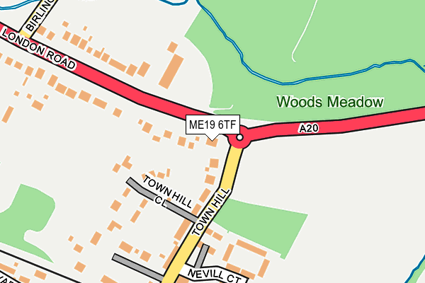 ME19 6TF map - OS OpenMap – Local (Ordnance Survey)