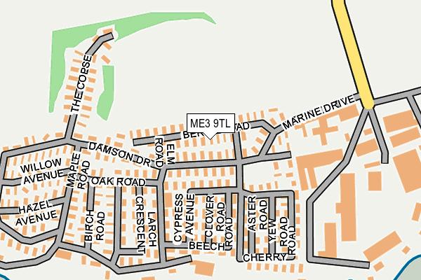 ME3 9TL map - OS OpenMap – Local (Ordnance Survey)