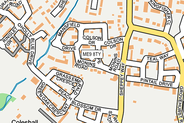 ME9 8TY map - OS OpenMap – Local (Ordnance Survey)
