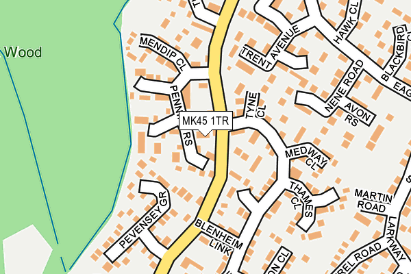 MK45 1TR map - OS OpenMap – Local (Ordnance Survey)