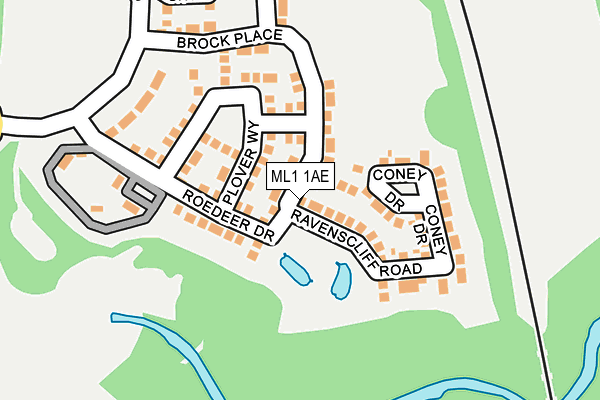 ML1 1AE map - OS OpenMap – Local (Ordnance Survey)