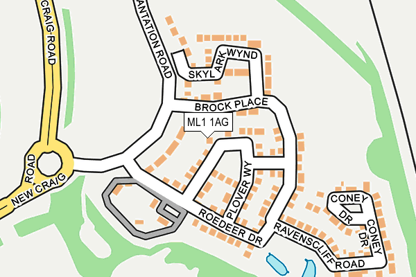 ML1 1AG map - OS OpenMap – Local (Ordnance Survey)