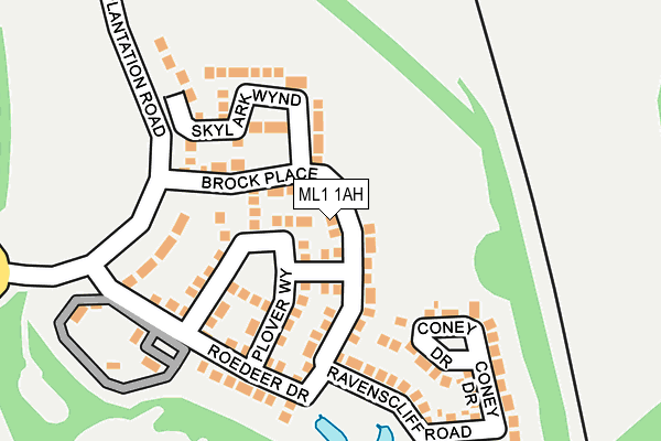 ML1 1AH map - OS OpenMap – Local (Ordnance Survey)