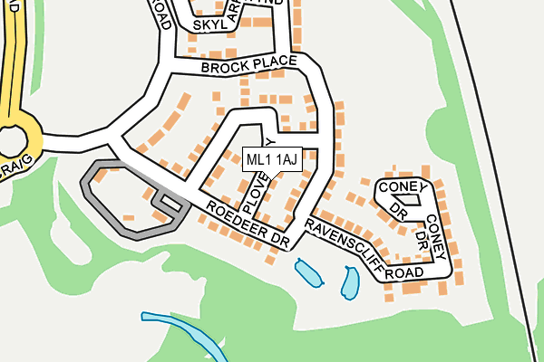 ML1 1AJ map - OS OpenMap – Local (Ordnance Survey)