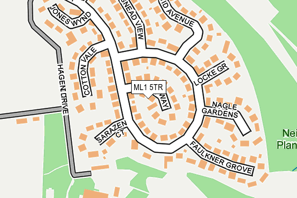 ML1 5TR map - OS OpenMap – Local (Ordnance Survey)