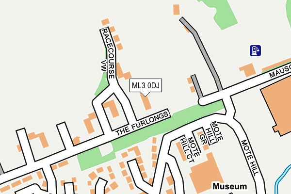 ML3 0DJ map - OS OpenMap – Local (Ordnance Survey)