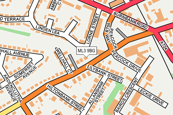 ML3 9BG map - OS OpenMap – Local (Ordnance Survey)