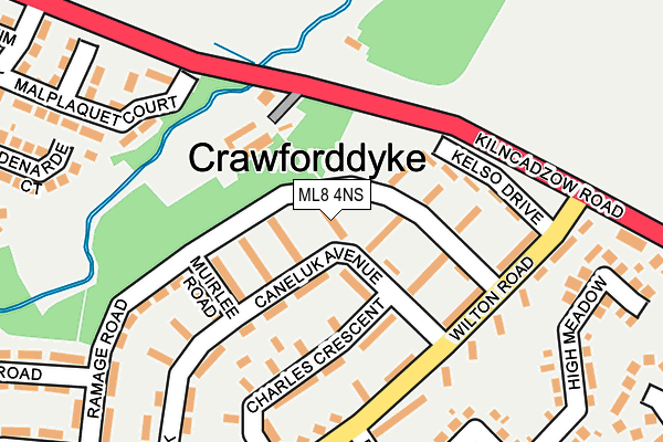 ML8 4NS map - OS OpenMap – Local (Ordnance Survey)