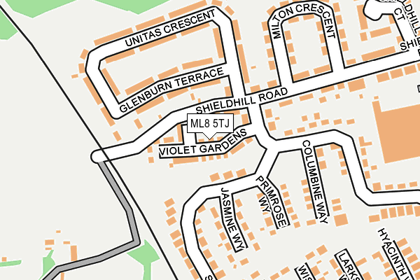 ML8 5TJ map - OS OpenMap – Local (Ordnance Survey)