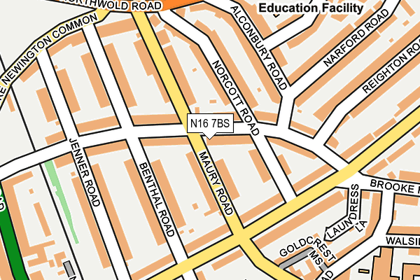 N16 7BS map - OS OpenMap – Local (Ordnance Survey)