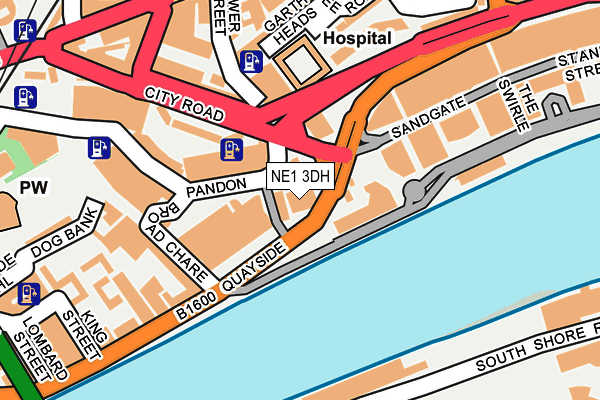 NE1 3DH map - OS OpenMap – Local (Ordnance Survey)