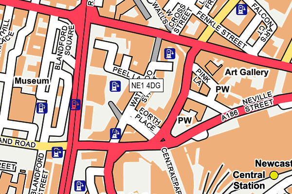NE1 4DG map - OS OpenMap – Local (Ordnance Survey)