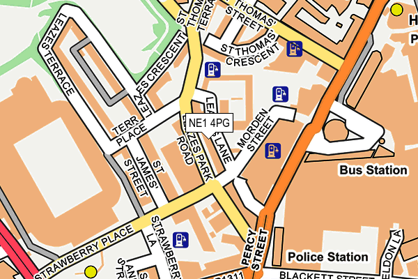 NE1 4PG map - OS OpenMap – Local (Ordnance Survey)