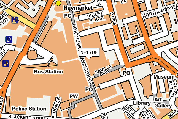 NE1 7DF map - OS OpenMap – Local (Ordnance Survey)