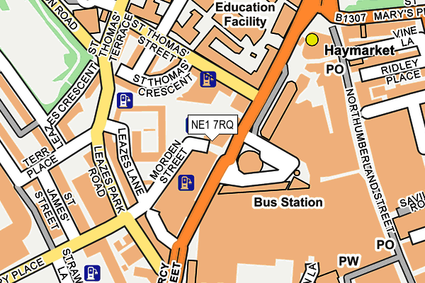 NE1 7RQ map - OS OpenMap – Local (Ordnance Survey)