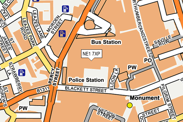 NE1 7XP map - OS OpenMap – Local (Ordnance Survey)