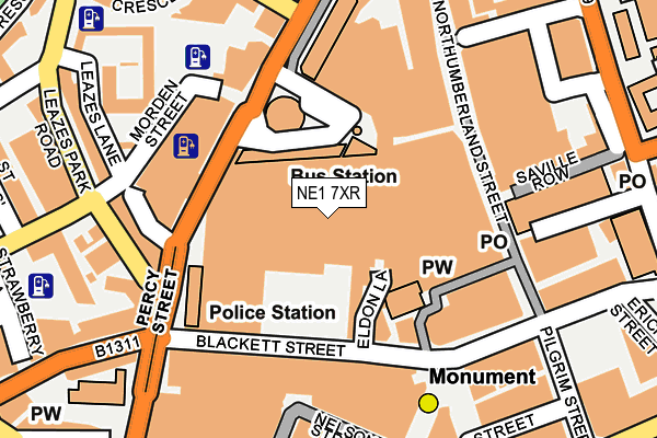 NE1 7XR map - OS OpenMap – Local (Ordnance Survey)