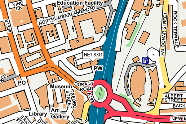 NE1 8XG map - OS OpenMap – Local (Ordnance Survey)