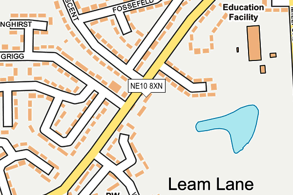 NE10 8XN map - OS OpenMap – Local (Ordnance Survey)