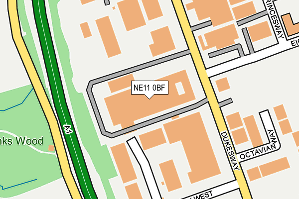 NE11 0BF map - OS OpenMap – Local (Ordnance Survey)