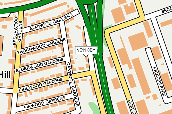NE11 0DY map - OS OpenMap – Local (Ordnance Survey)