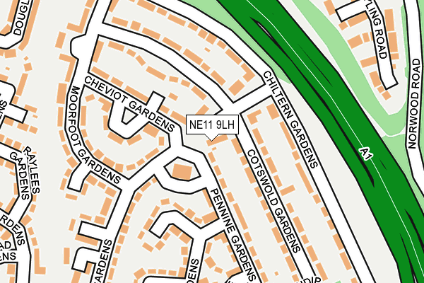 NE11 9LH map - OS OpenMap – Local (Ordnance Survey)