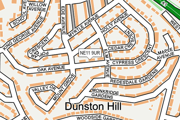 NE11 9UR map - OS OpenMap – Local (Ordnance Survey)