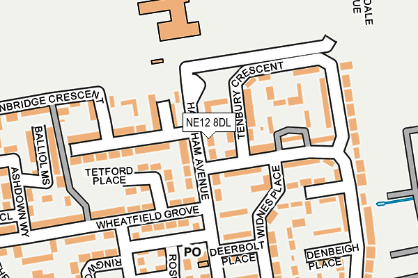 NE12 8DL map - OS OpenMap – Local (Ordnance Survey)