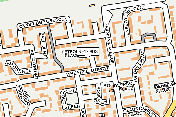 NE12 8DS map - OS OpenMap – Local (Ordnance Survey)