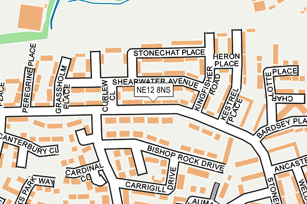 NE12 8NS map - OS OpenMap – Local (Ordnance Survey)