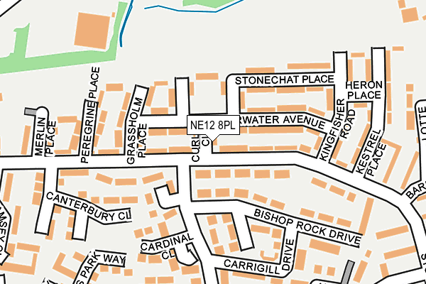 NE12 8PL map - OS OpenMap – Local (Ordnance Survey)