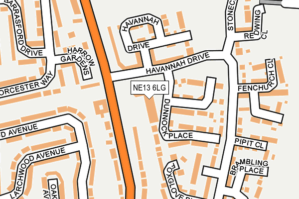 NE13 6LG map - OS OpenMap – Local (Ordnance Survey)