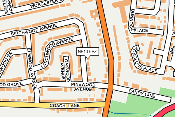 NE13 6PZ map - OS OpenMap – Local (Ordnance Survey)