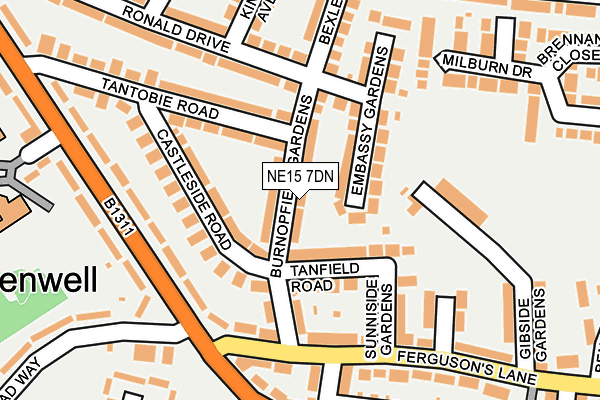 NE15 7DN map - OS OpenMap – Local (Ordnance Survey)