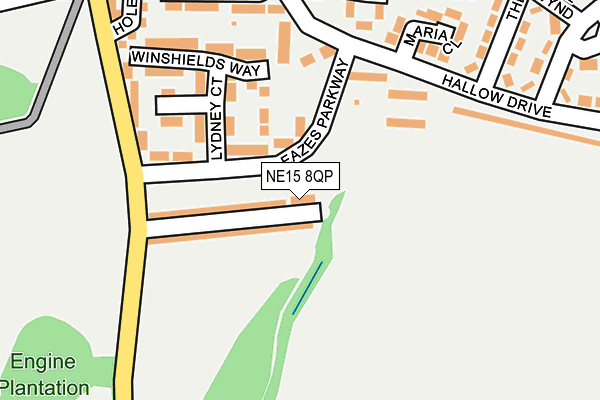 NE15 8QP map - OS OpenMap – Local (Ordnance Survey)