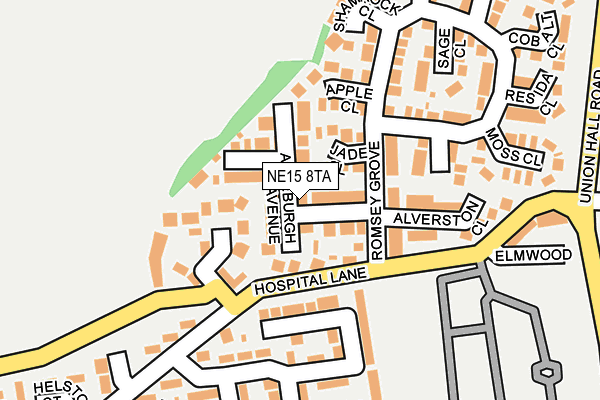 NE15 8TA map - OS OpenMap – Local (Ordnance Survey)