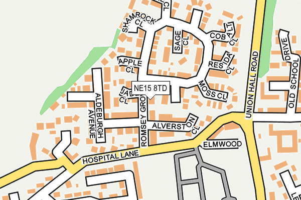NE15 8TD map - OS OpenMap – Local (Ordnance Survey)