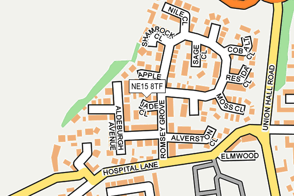 NE15 8TF map - OS OpenMap – Local (Ordnance Survey)