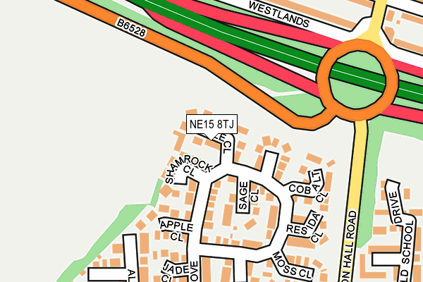 NE15 8TJ map - OS OpenMap – Local (Ordnance Survey)
