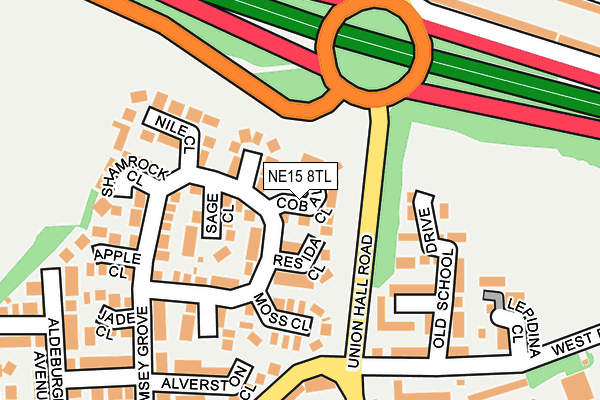 NE15 8TL map - OS OpenMap – Local (Ordnance Survey)