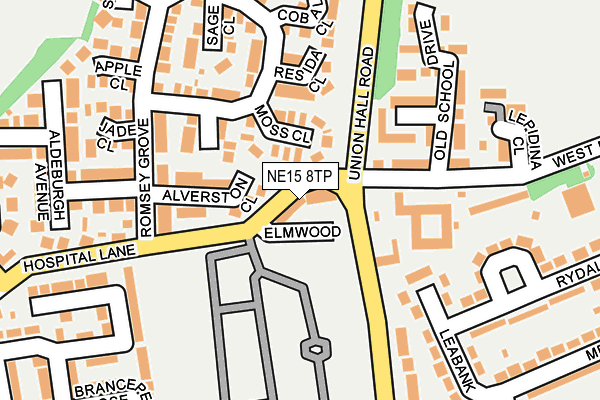 NE15 8TP map - OS OpenMap – Local (Ordnance Survey)