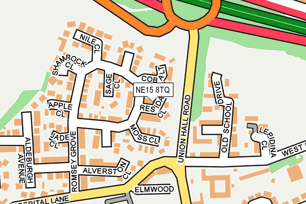 NE15 8TQ map - OS OpenMap – Local (Ordnance Survey)