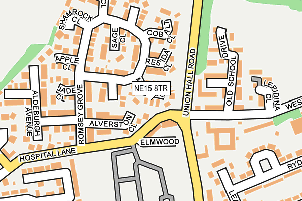 NE15 8TR map - OS OpenMap – Local (Ordnance Survey)