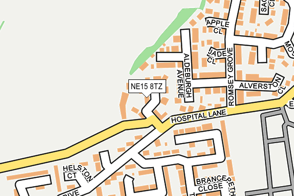 NE15 8TZ map - OS OpenMap – Local (Ordnance Survey)
