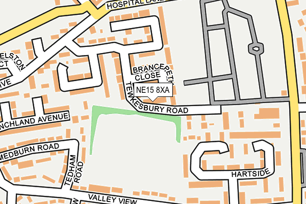 NE15 8XA map - OS OpenMap – Local (Ordnance Survey)