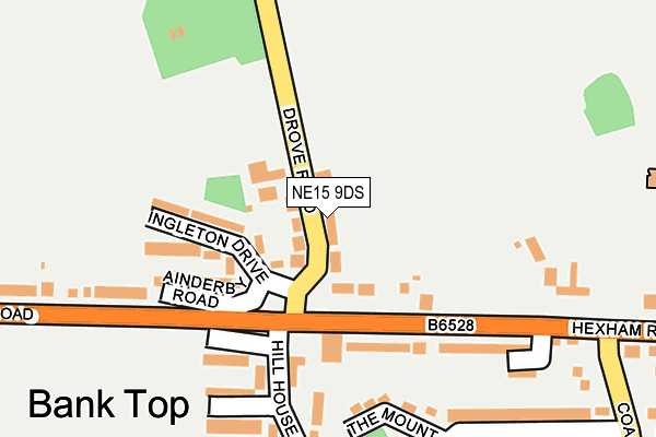 NE15 9DS map - OS OpenMap – Local (Ordnance Survey)